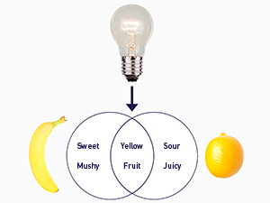The banana/lemon model